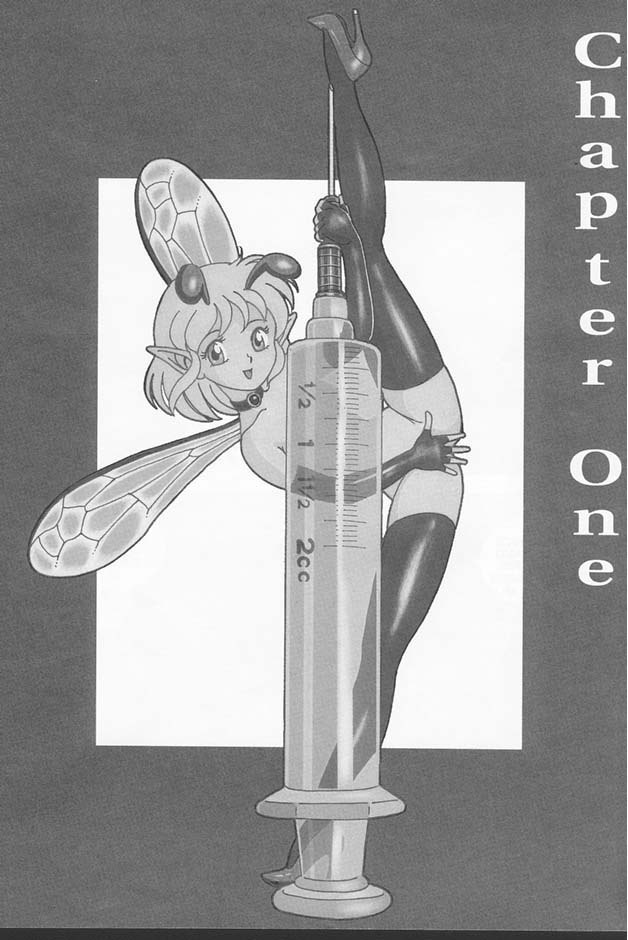 Bondage Fairies Extreme - Page 1