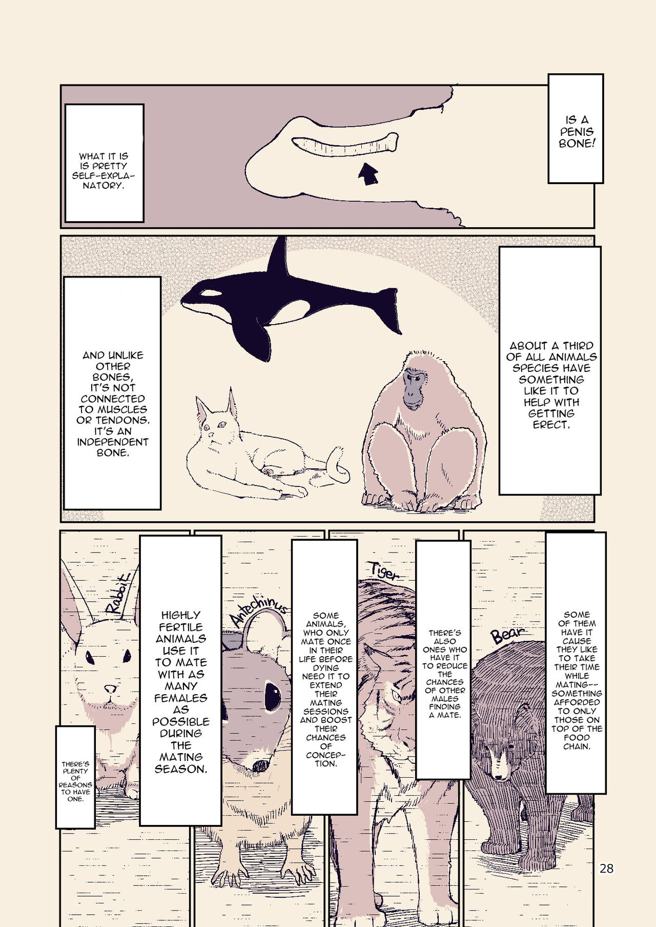 Dosukebe Elf no Ishukan Nikki 8 - Page 28