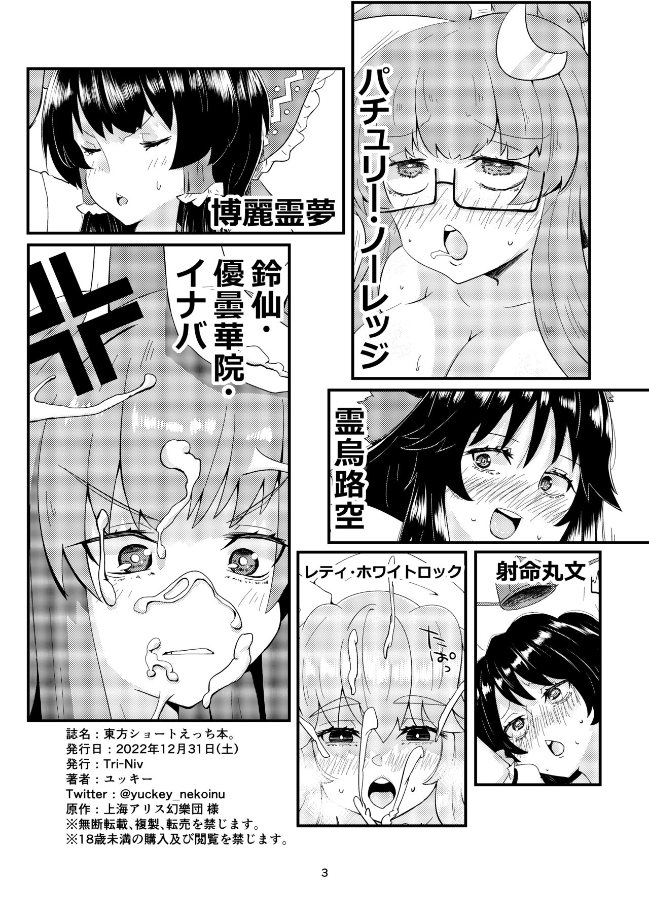 Preview page 2