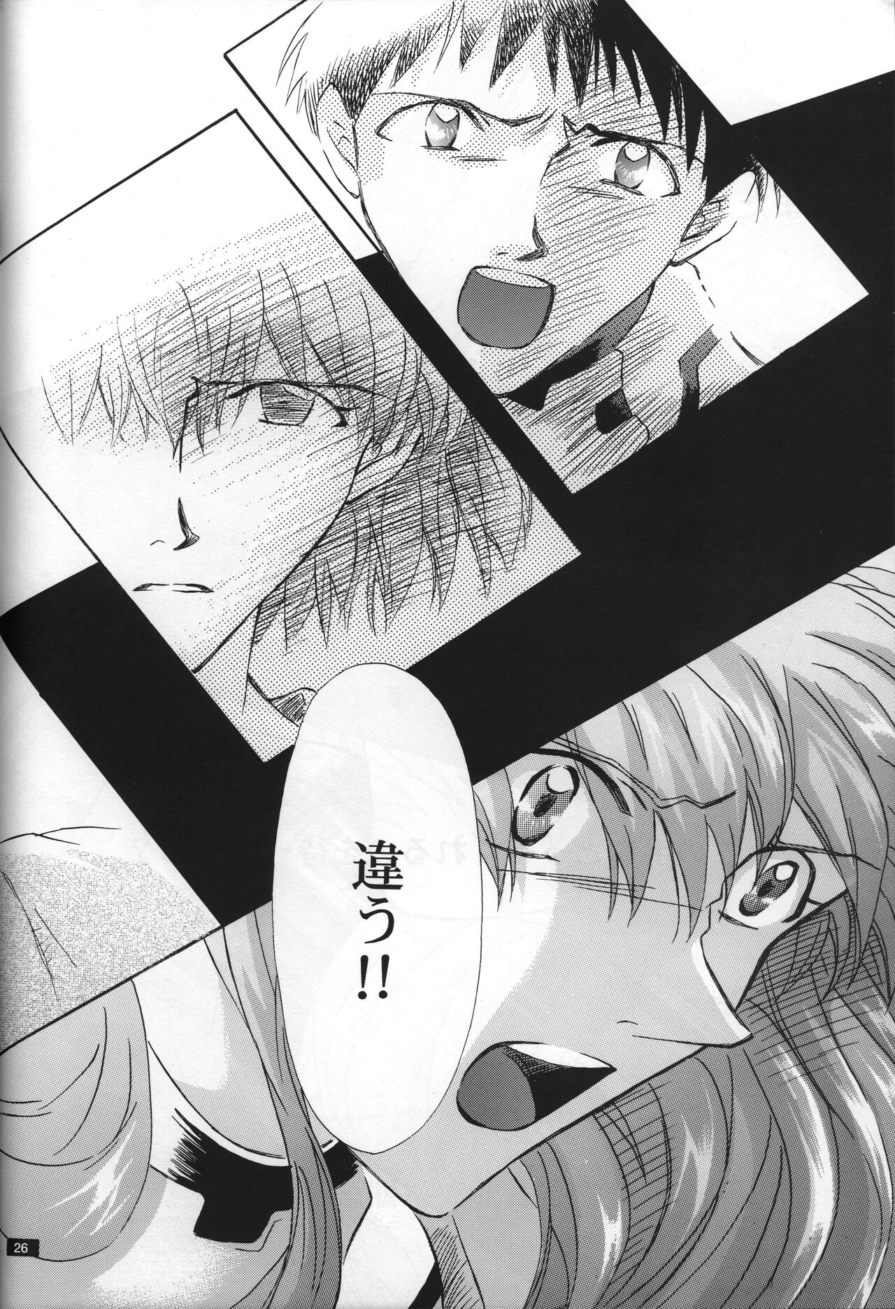 <Shinyaku> neon genesis -DocumentＡ- - Page 27