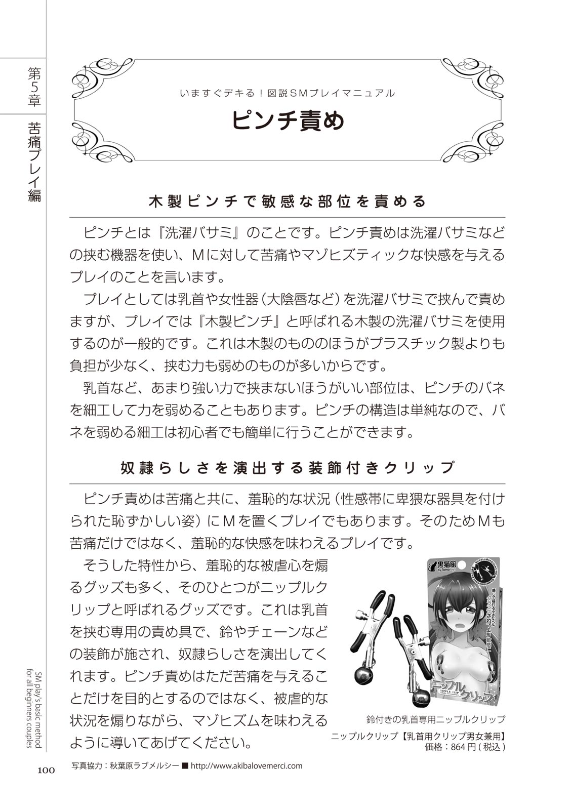 いますぐデキる 図説SMプレイマニュアル - Page 100