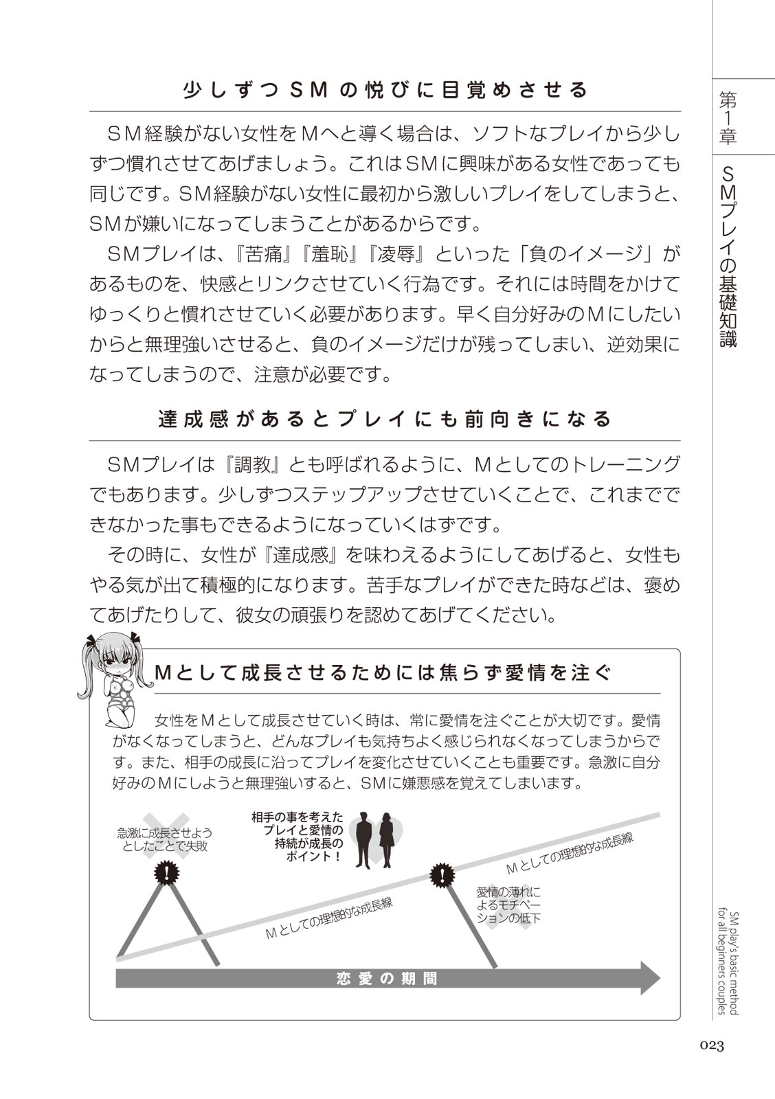 いますぐデキる 図説SMプレイマニュアル - Page 23