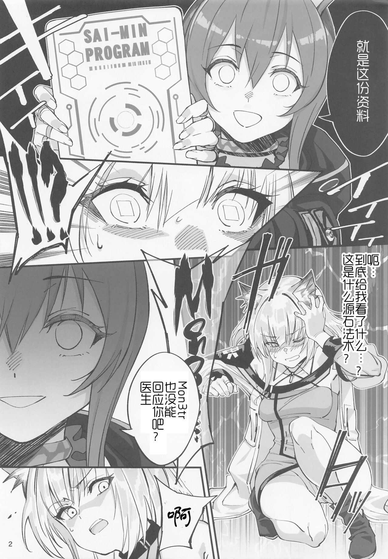 Preview page 2