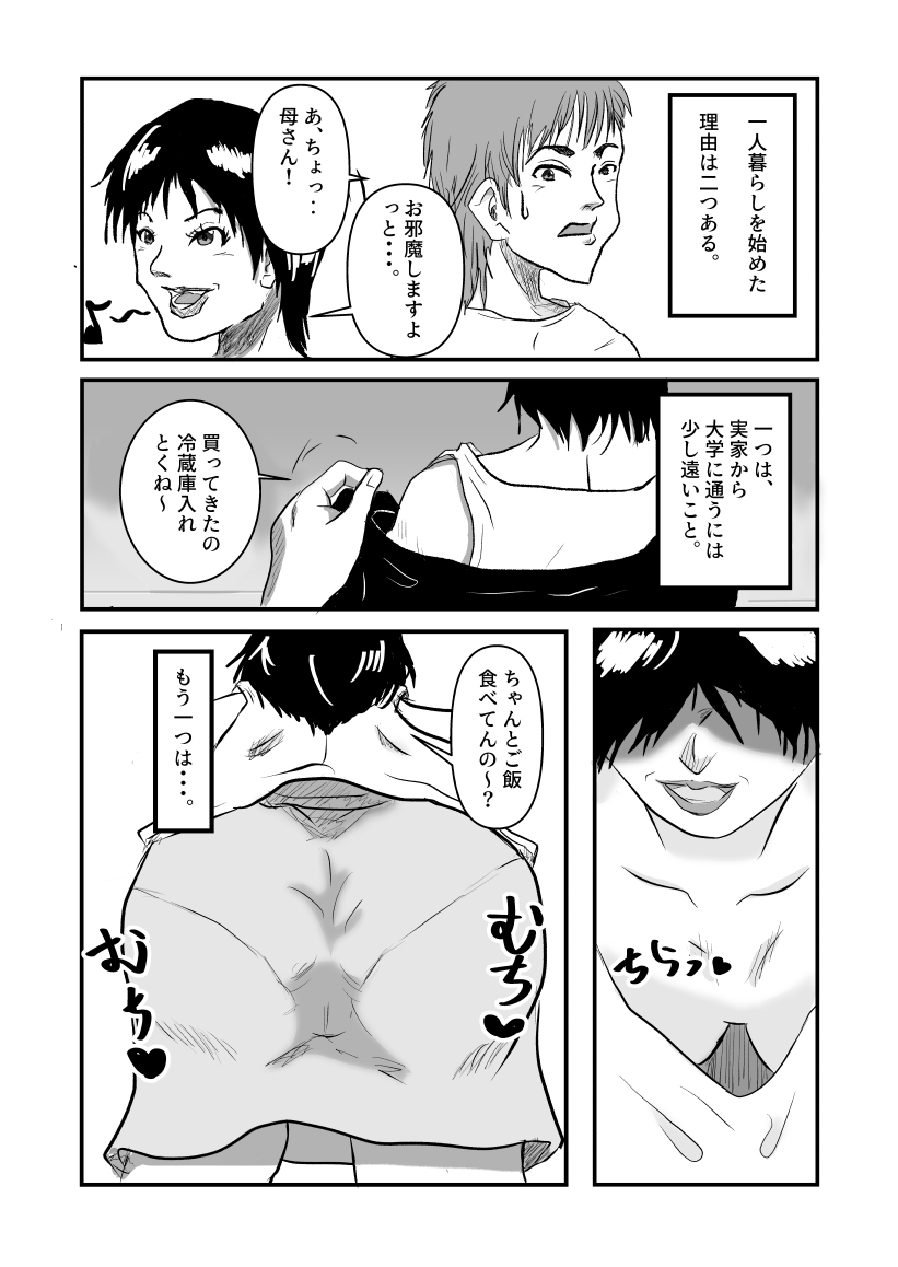 ヤリたい母子が一線を越えるまで - Page 2