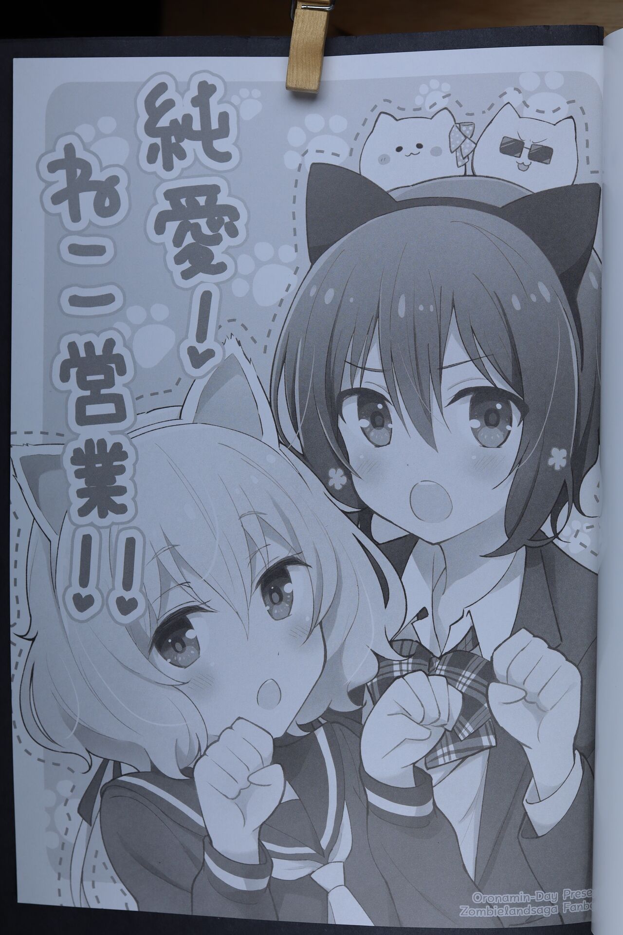 Preview page 2