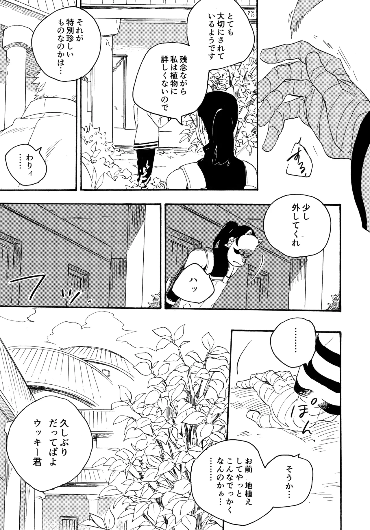 Encore 5 - Page 146