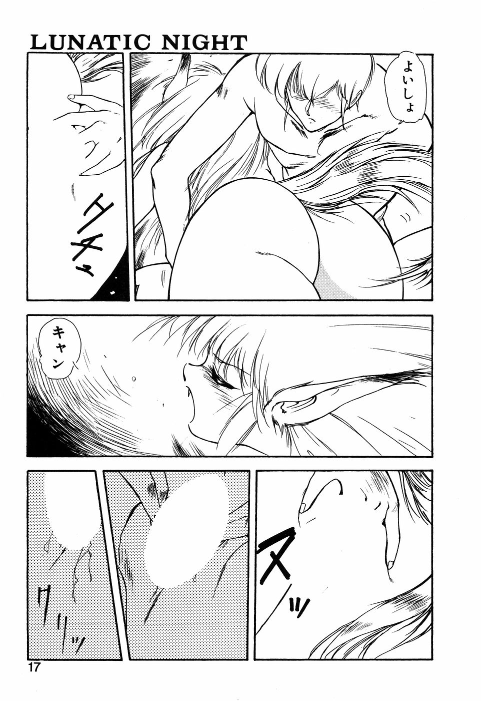 LUNATIC NIGHT I - Page 16