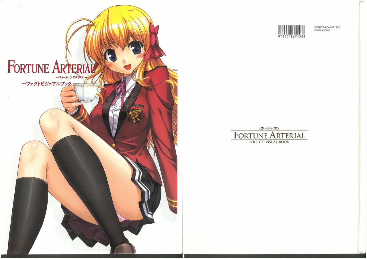 FORTUNE ARTERIAL PERFECT VISUAL BOOK - Page 1