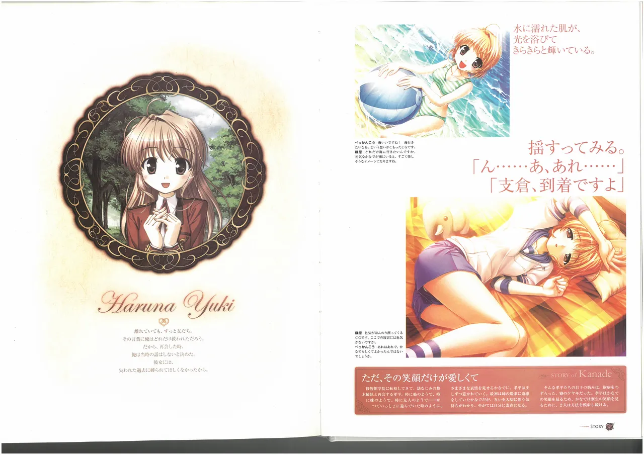FORTUNE ARTERIAL PERFECT VISUAL BOOK - Page 70