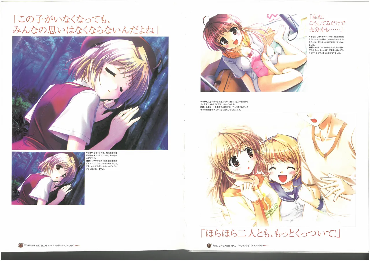 FORTUNE ARTERIAL PERFECT VISUAL BOOK - Page 71