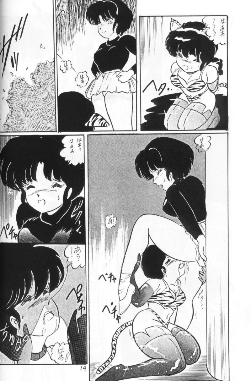 Ranma no Manma 4 - Page 13