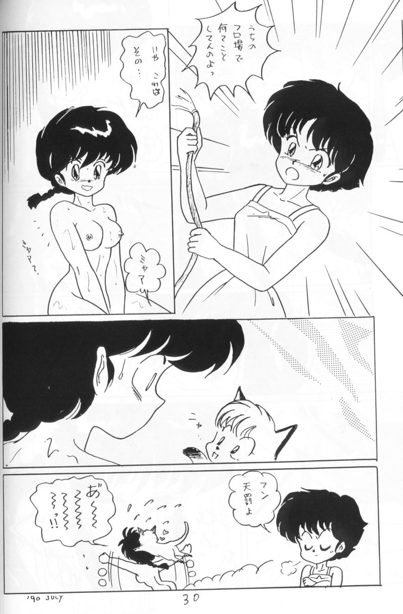Ranma no Manma 4 - Page 29