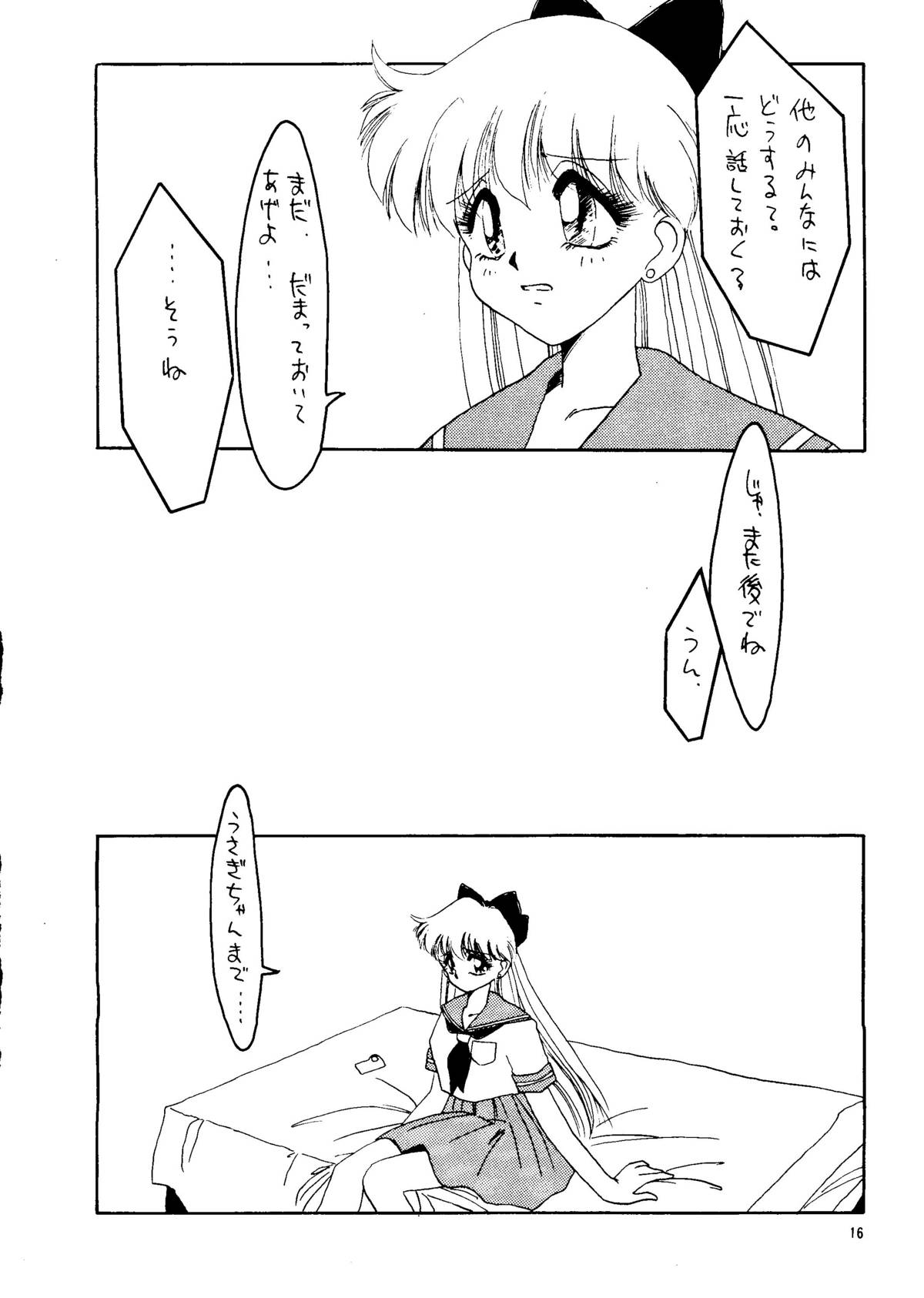 Super Sailor Moon X - Page 14
