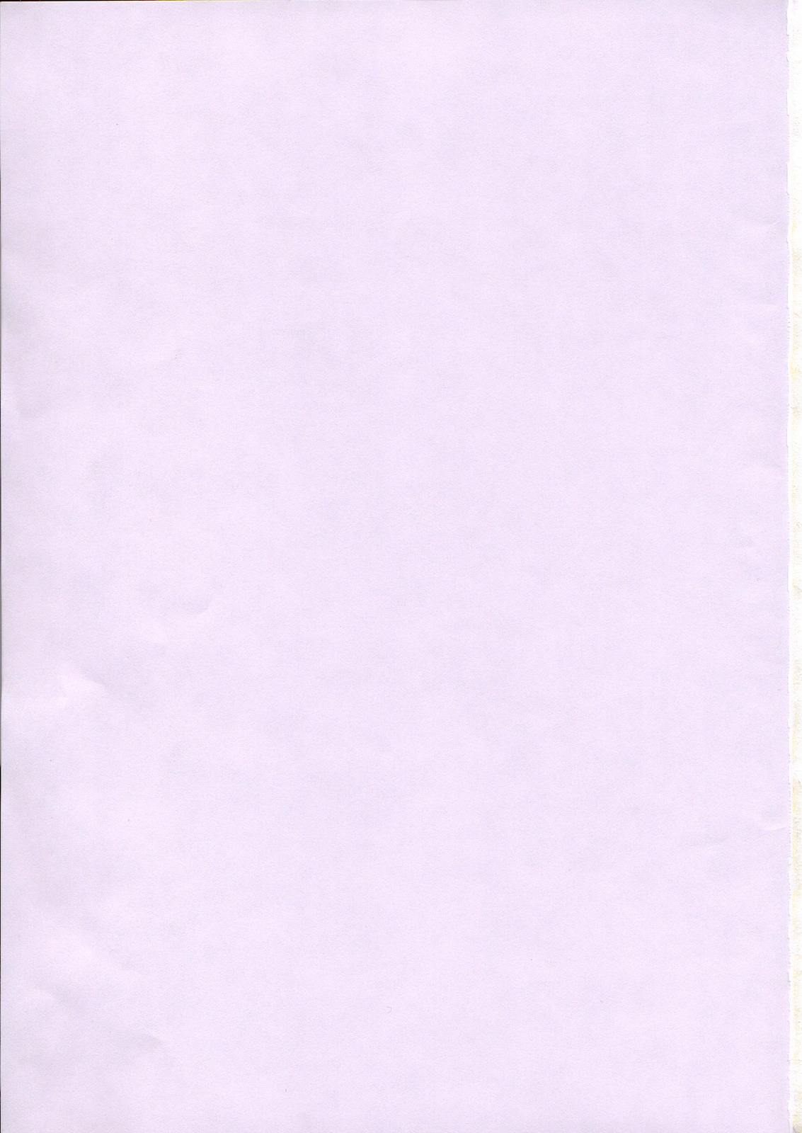 LUNA STLIKE Prototype - Page 2