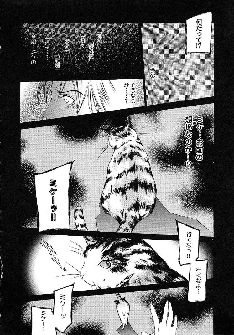 HARD SHOP - Page 150