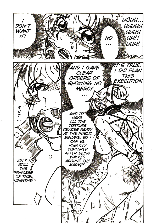 Injoku Hime - Page 14