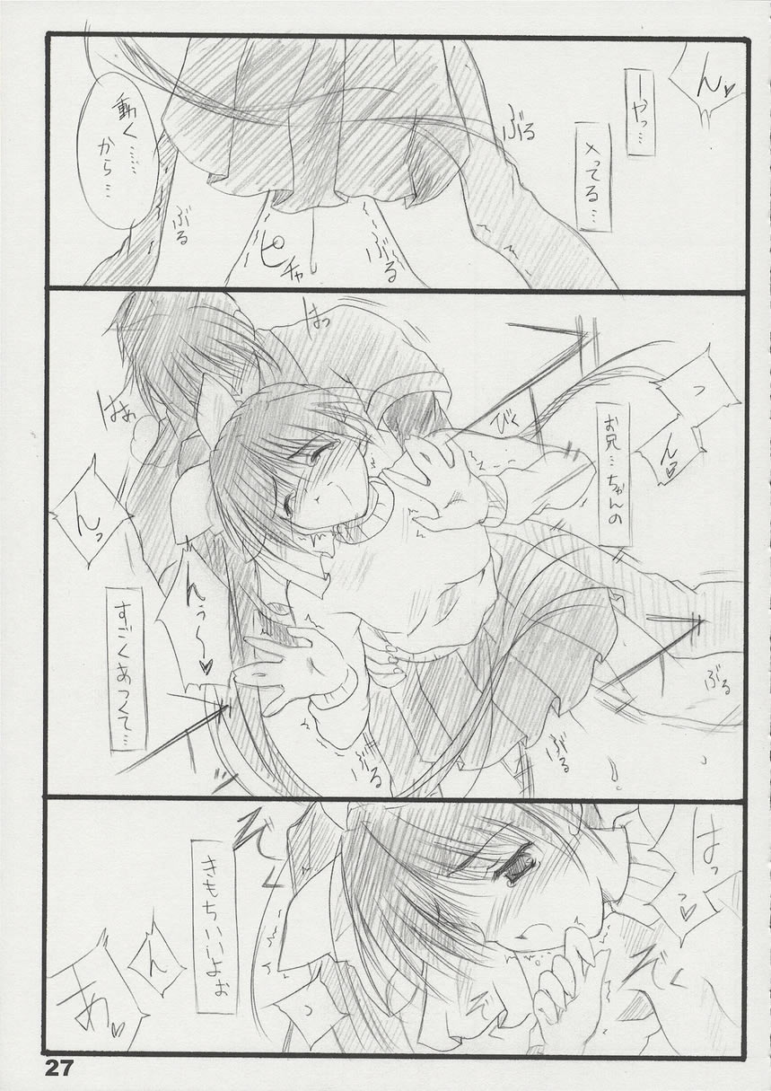 T2 - Page 26