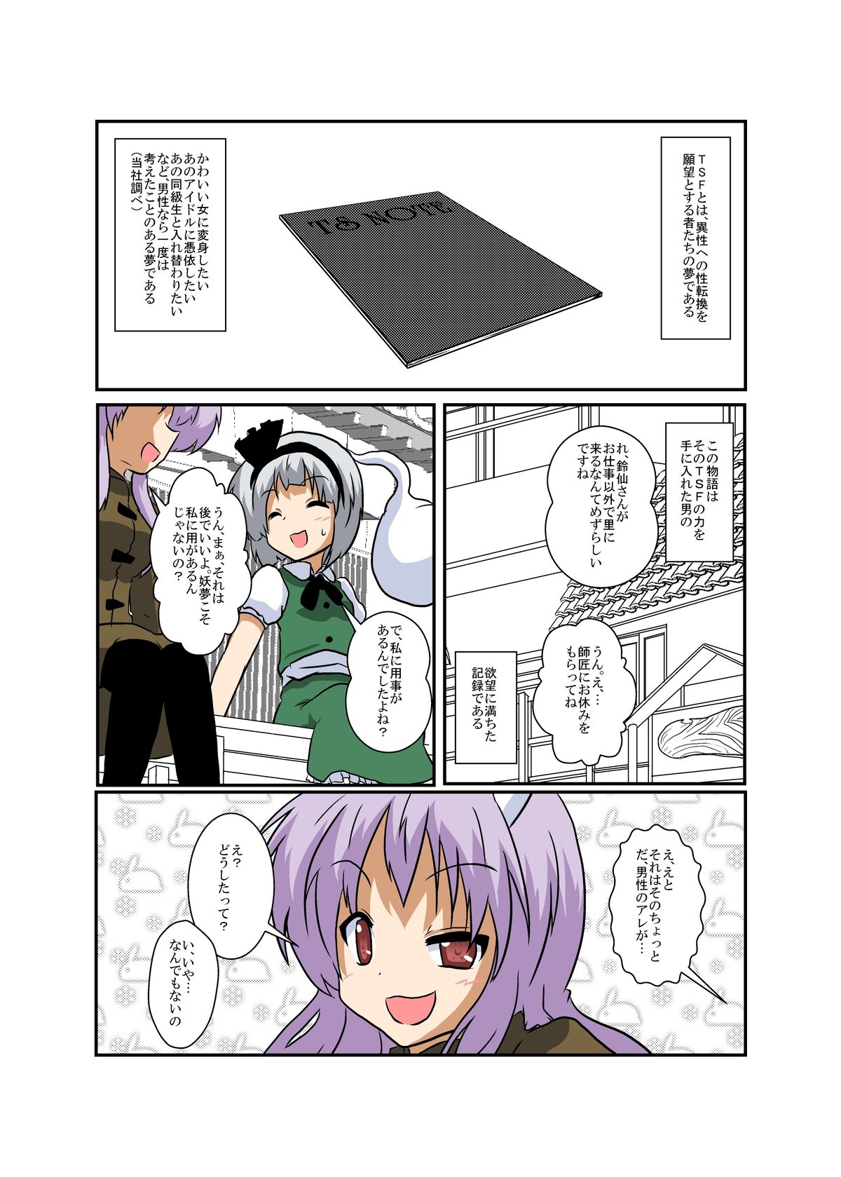 Touhou TS monogatari - Page 4