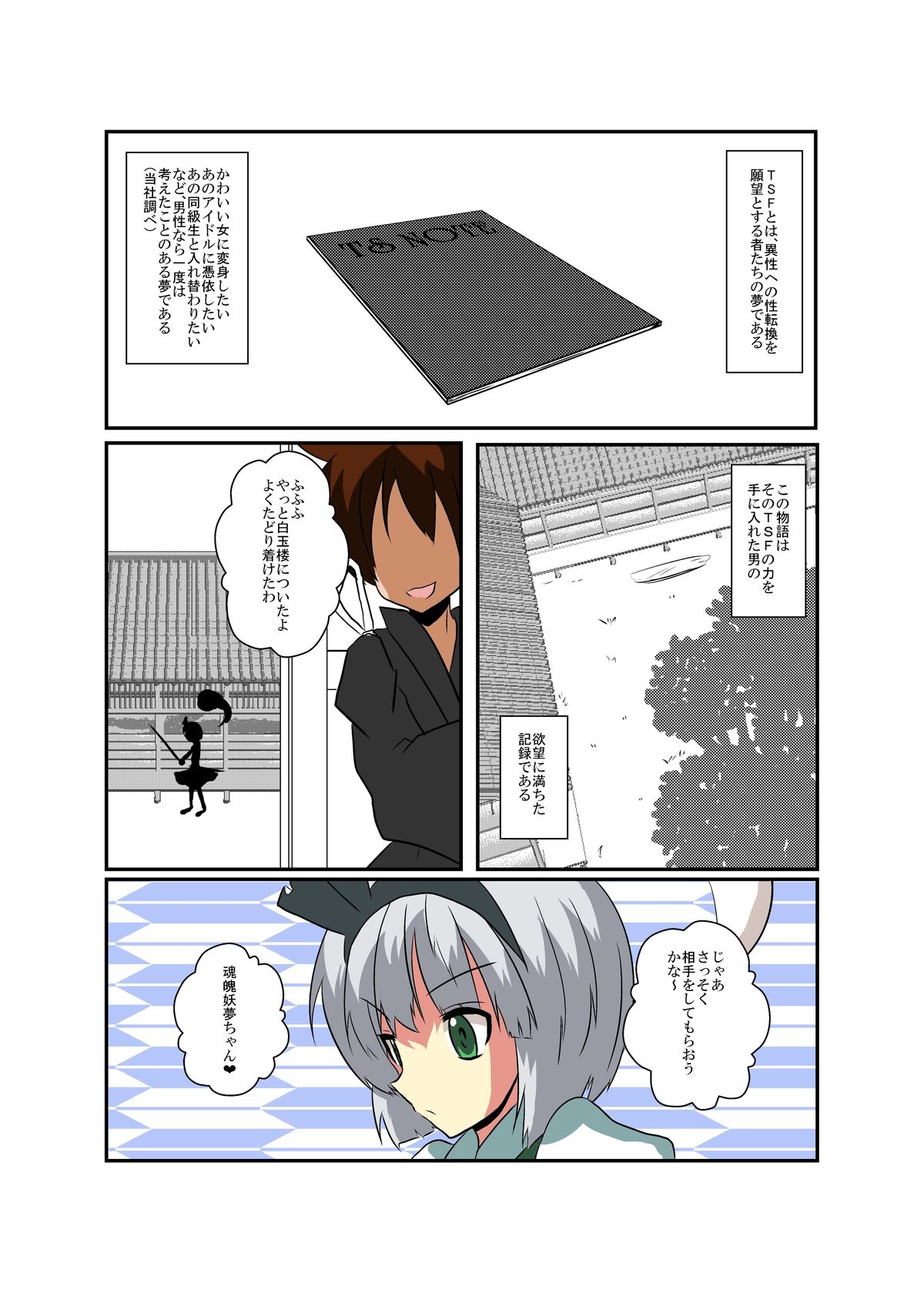 Touhou TS monogatari - Page 4