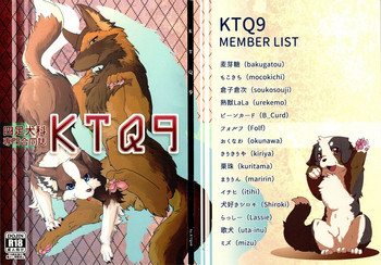 KTQ9 gallery cover from original