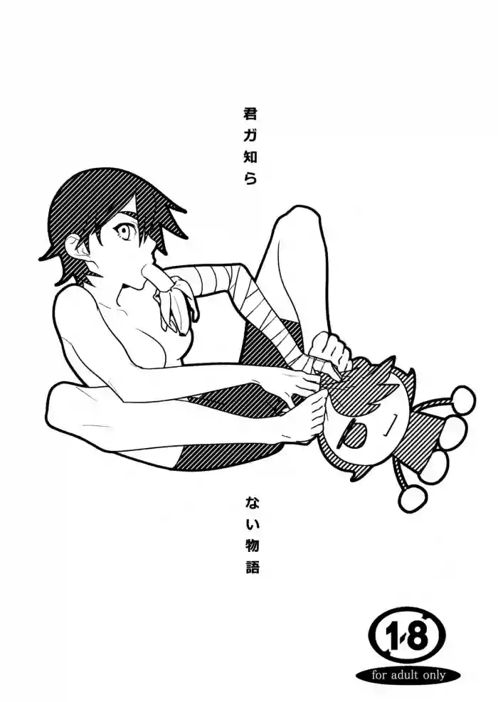 Kimi ga Shiranai Monogatari
