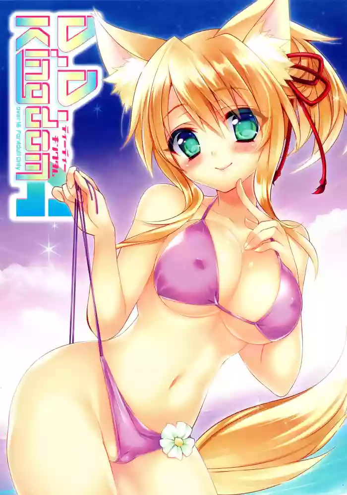 D.D. Kingdom 4