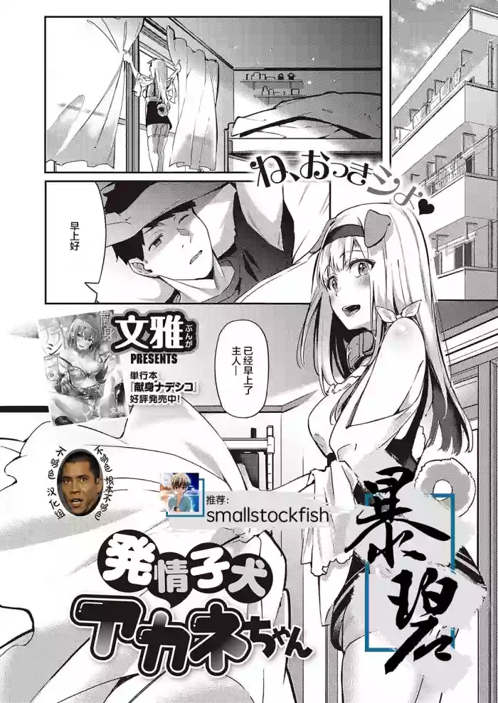 Hatsujou Koinu Akane-chan | εζ
ε°ηθ