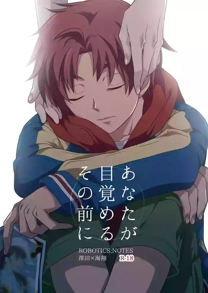 Anata ga Mezameru Sono Mae ni