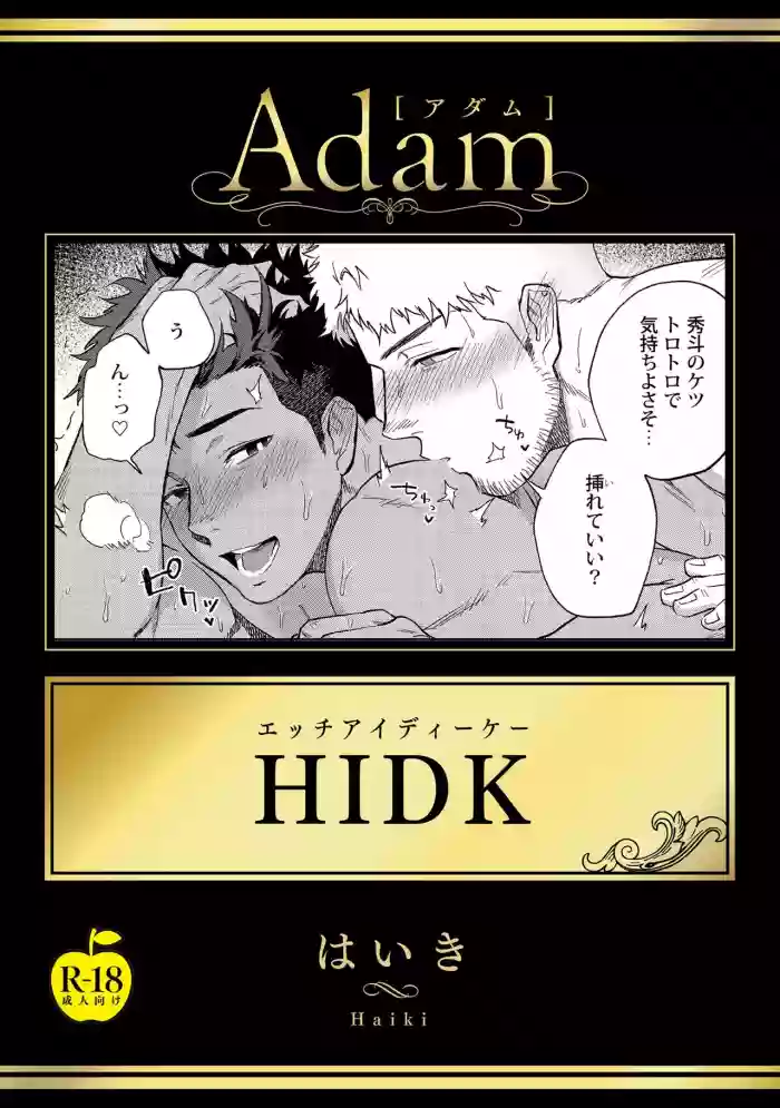 HIDK gallery cover