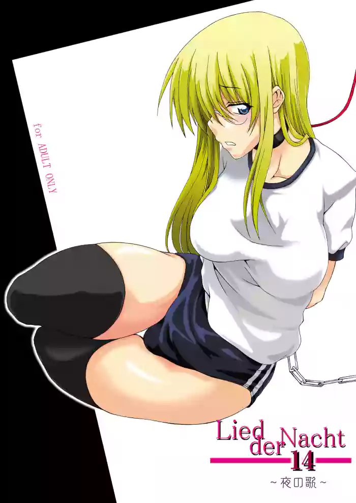 Lied der Nacht 14 ~Yoru no Uta~