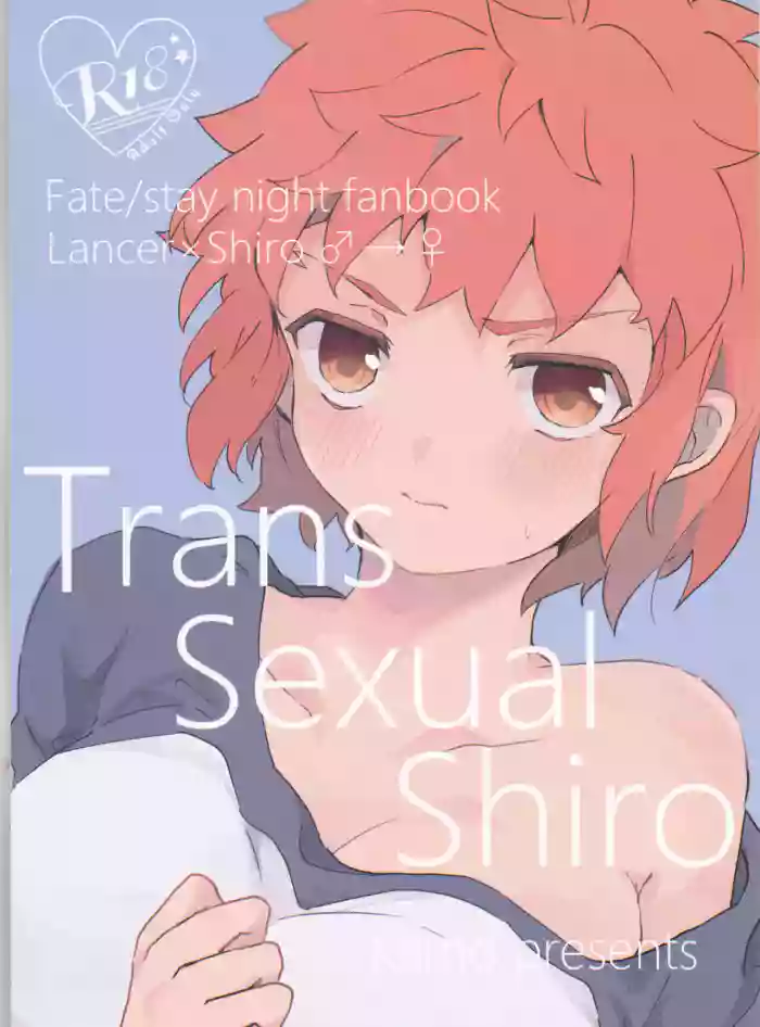 Trans Sexual Shiro gallery cover featuring lancer from fate stay night