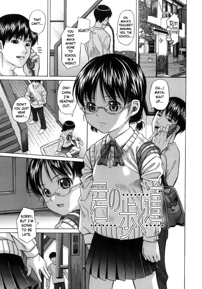Kimi no Aruku Michi gallery cover