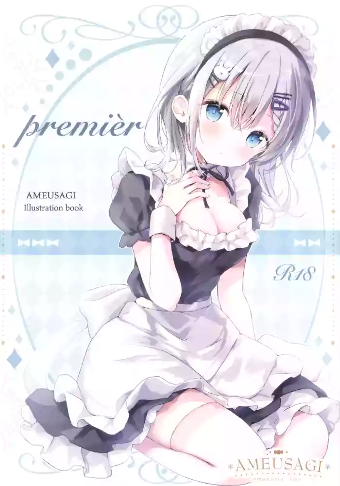 (COMITIA144) [Ame Usagi (Amedamacon)] -premier- gallery cover