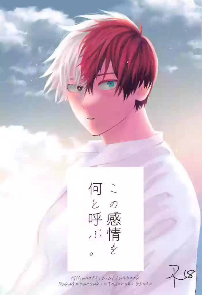 Kono Kanjou  o Nanto Yobu