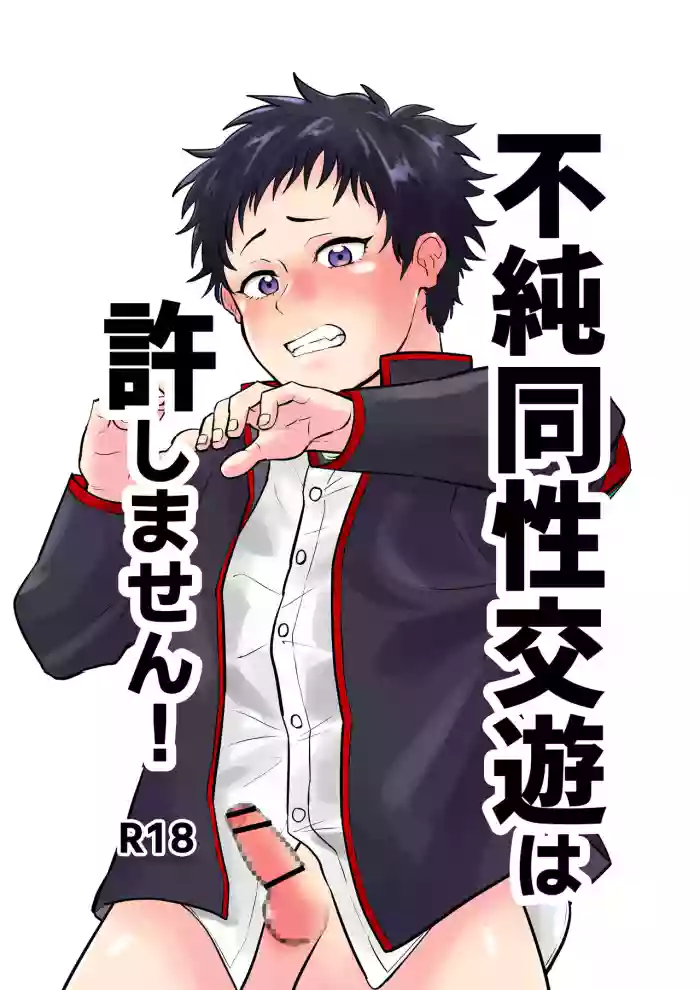 不純同性交遊は許しません! gallery cover from original