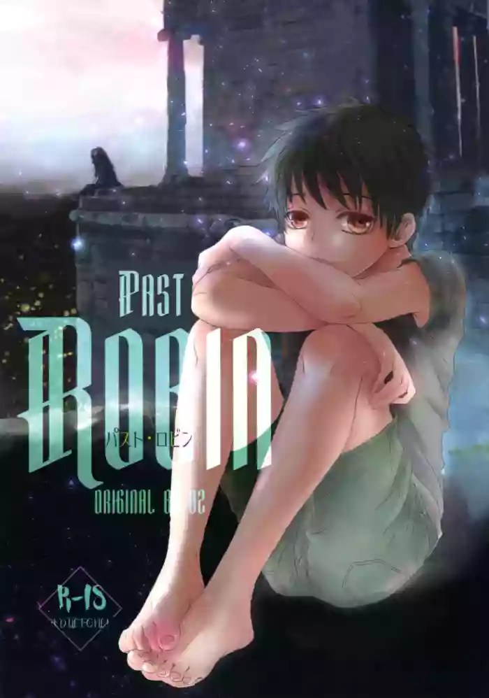 PAST ROBIN gallery cover