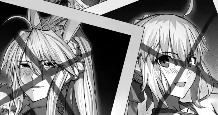 《双人泳池派对》 gallery cover featuring saber from fate grand order