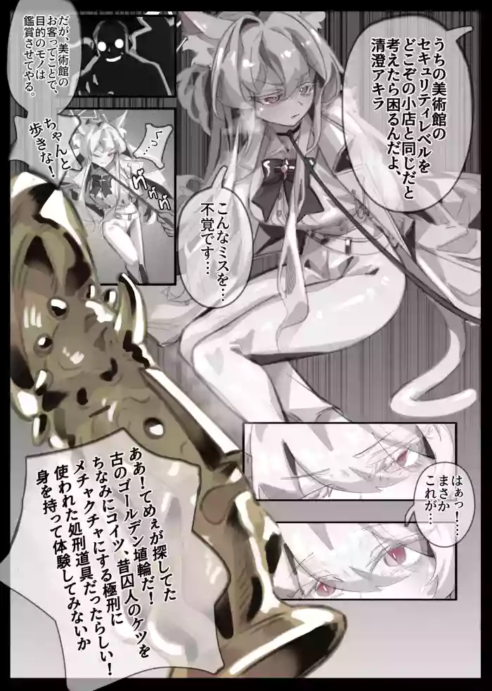 Dorobou Neko Akira Kyousei Tenji Program