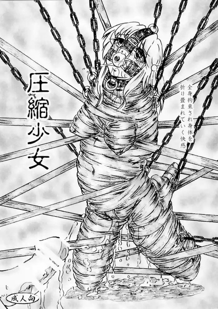 Asshuku shoujo gallery cover from original