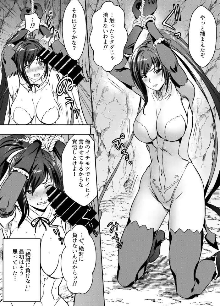 Request Itadaita Mono desu gallery cover featuring sakuya from shining blade