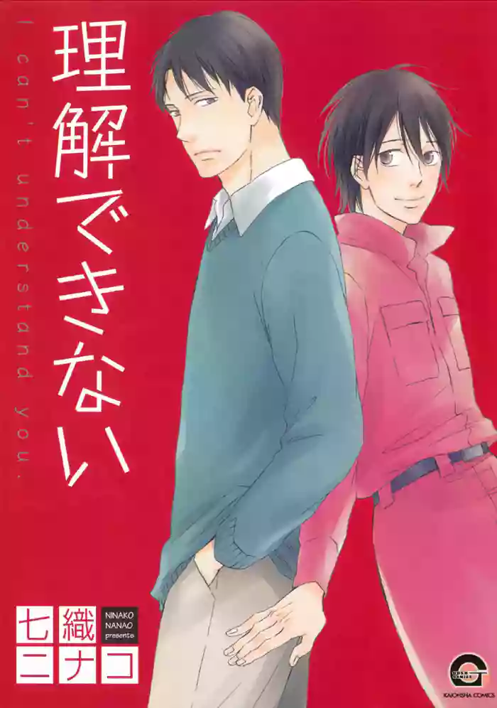 Rikai Dekinai gallery cover