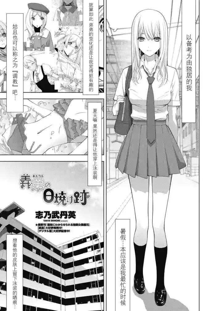 Gitei no hiyake ato