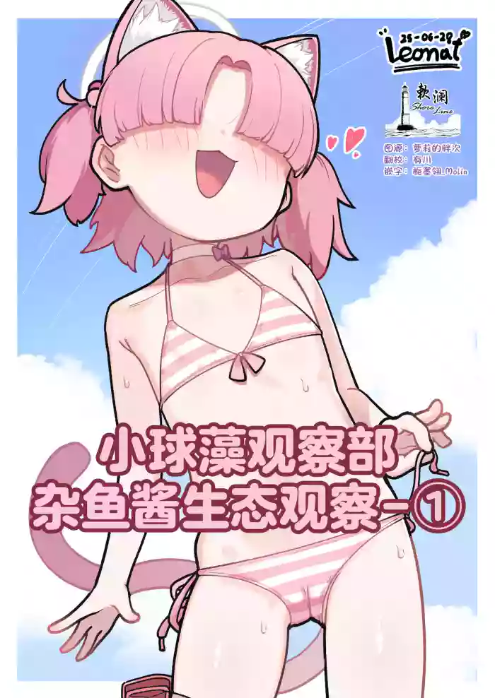 小球藻观察部杂鱼酱生态观察-①