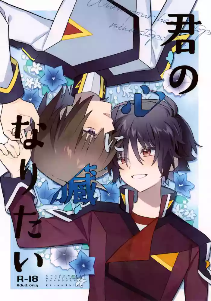Kimi no Shinzou ni Naritai