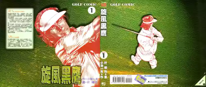 旋风黑鹰