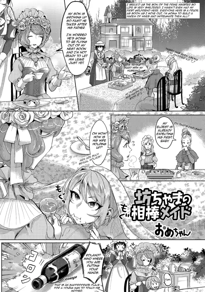 The Young Master’s Partner Maid