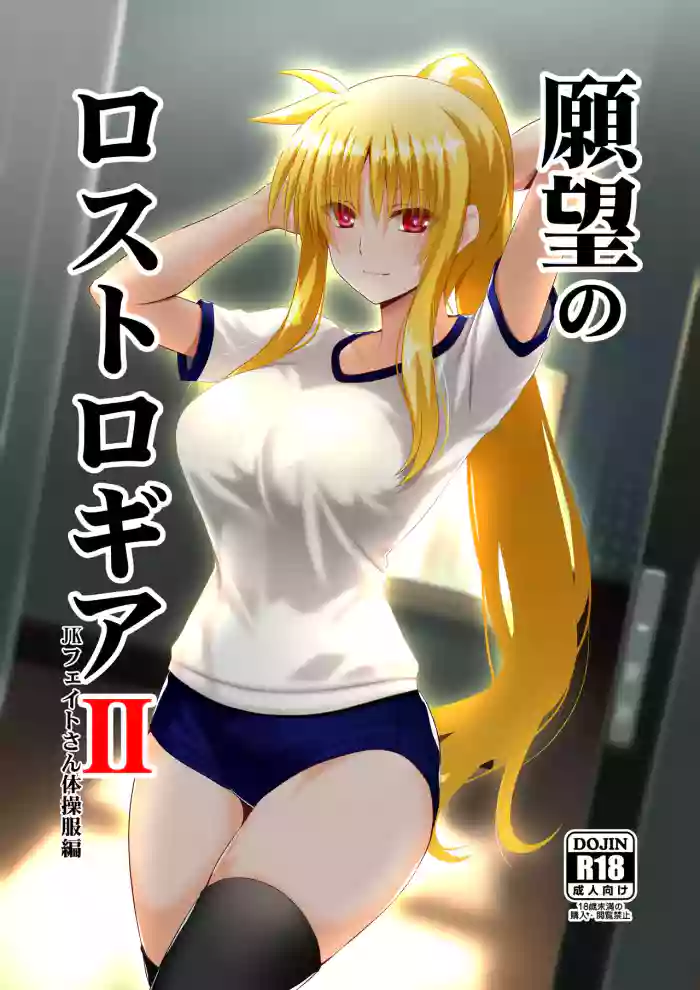Ganbou no Lost Logia II  JK Fate-san Taisoufuku Hen