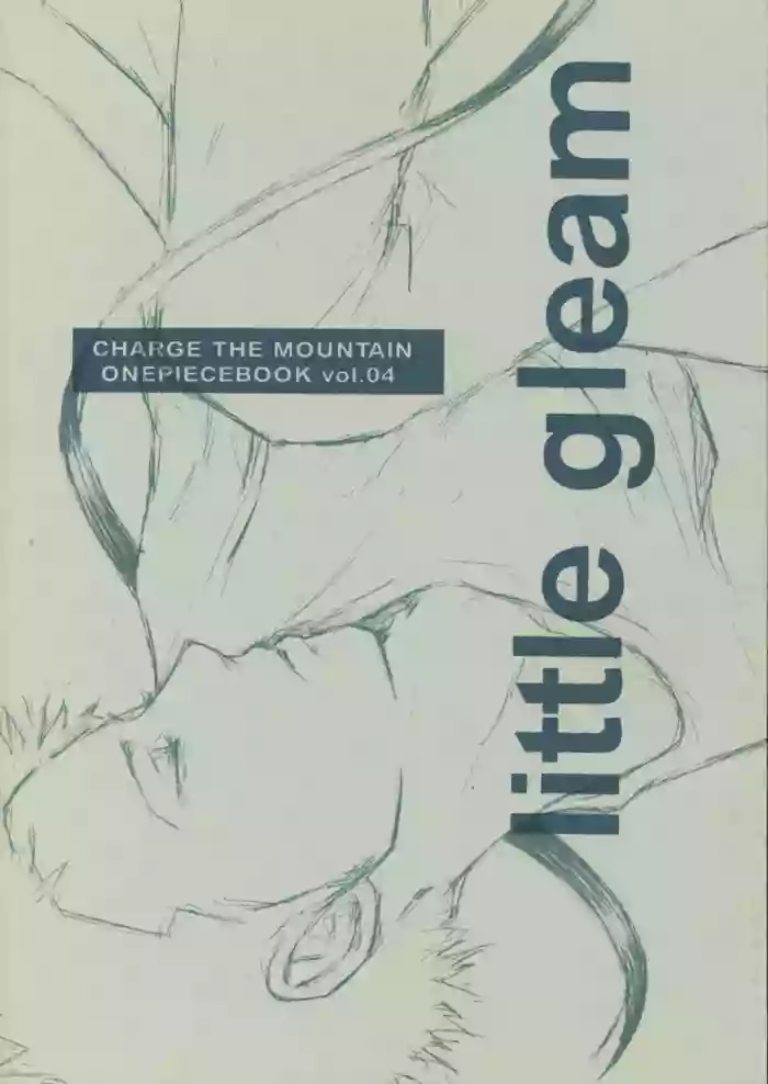 little gleam gallery cover from one piece