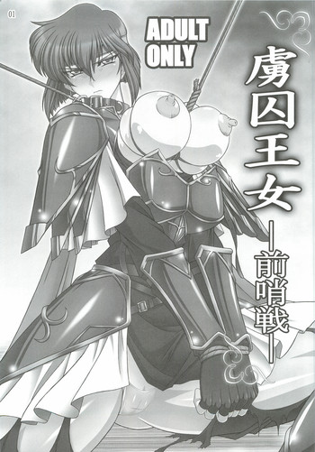 Ryoshuu Oujo gallery cover featuring minerva from fire emblem mystery of the emblem