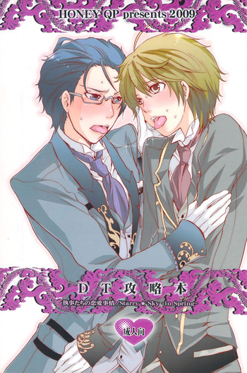 DT Kouryakuhon gallery cover from starry sky